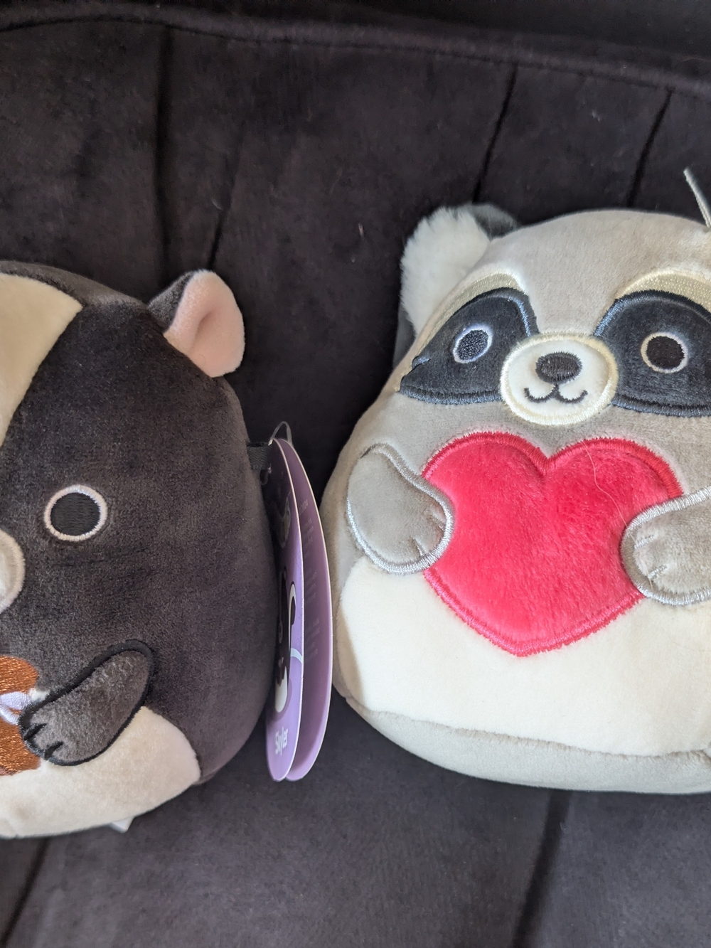 Squishmallows Raccoon And Skunk Plushies